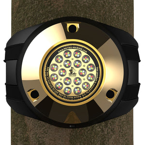 Metro Marine HighOutput Piling Mount Underwater Light wIntelligent Full Spectrum LEDs  RGBW 90 Beam FPMR1FS90
