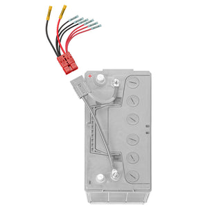 ConnectEase Multi 4 Lead Accessory fMain Battery RCE12VB4