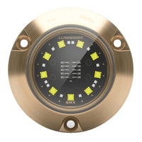 Lumishore ECLIPSE SMX24 Single Light Surface Mount Underwater Light  BlueWhite 0100450400