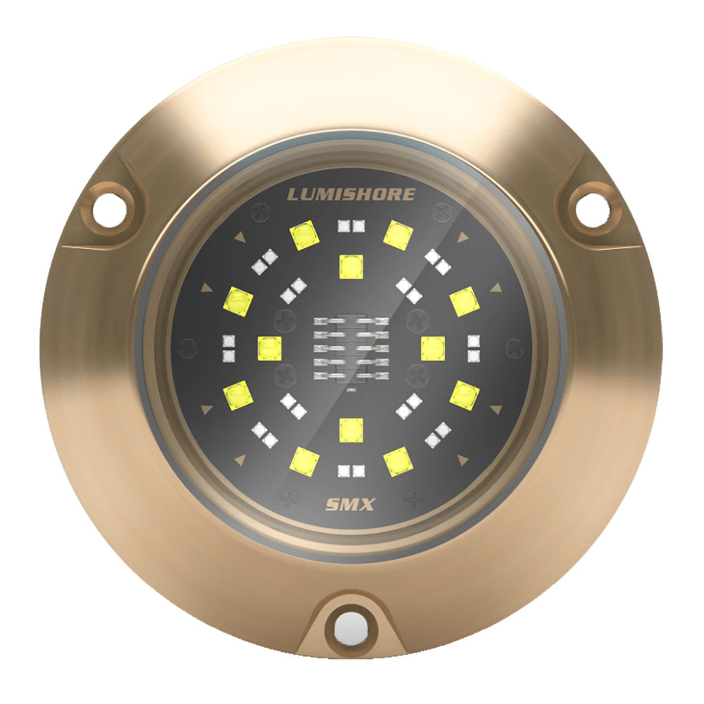 Lumishore ECLIPSE SMX54 Single Surface Mount Underwater  Light BlueWhite 0100450500