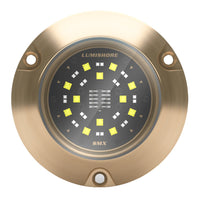 Lumishore ECLIPSE SMX54 Single Surface Mount Underwater  Light BlueWhite 0100450500