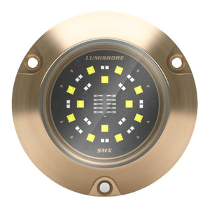 Lumishore ECLIPSE SMX54 Single Surface Mount Underwater  Light BlueWhite 0100450500