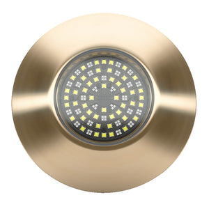 Lumishore SUPRA THX804 ThruHull Light  Driver 0100451800