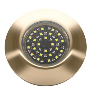 Lumishore EOS THX804 ThruHull Light  Driver 0100452000