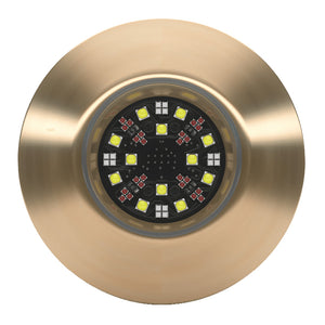 Lumishore EOS TIX404 Interchangeable ThruHull 0100452900