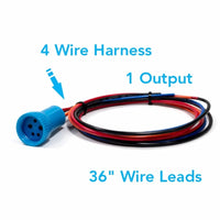Bluewater 22mm switch plug 4-wire harness with 36-inch lead and single output