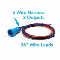 Bluewater 22mm switch plug 5-wire harness with blue connector and 36-inch wire leads