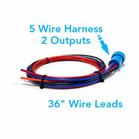 Coiled five-color wire harness with blue 22mm plug connector and visible 36" wire leads
