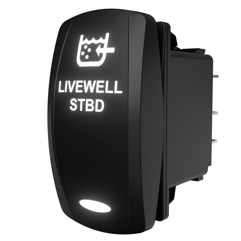 Livewell STBD illuminated rocker switch, angled side view showing rear terminals and mounting housing