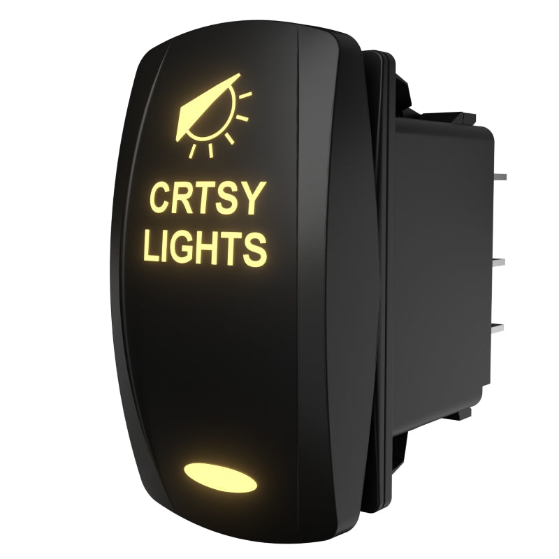 Illuminated courtesy-lights rocker switch, three-quarter rear view showing spade connectors and mounting bezel
