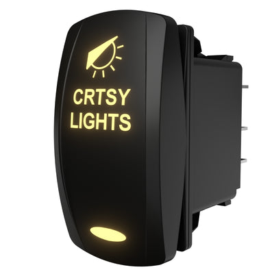 COURTESY LIGHTS