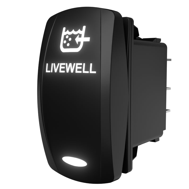 Angled side/rear view of illuminated LIVEWELL rocker switch showing water icon and rear spade terminals