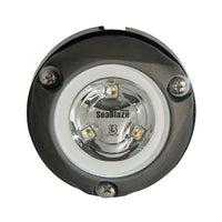 Lumitec Zambezi Mini Surface Mount Underwater Light  White  NonDimming 101456