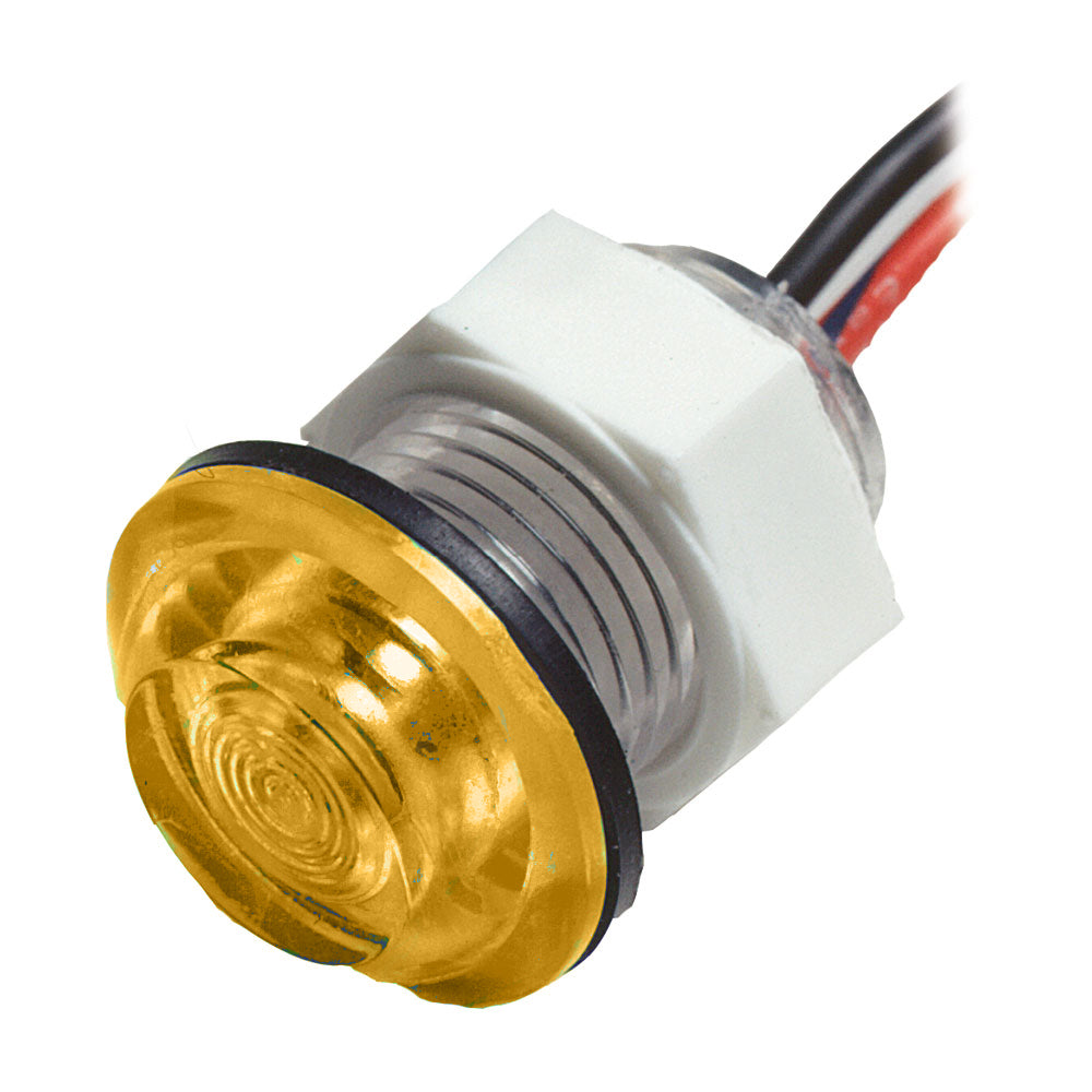 Innovative Lighting LED Bulkhead Livewell Light Flush Mount  Amber 01115007